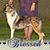 Jennifer Tenneson's profile image