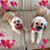 Sharon Forney's profile image