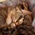 Kathy James Morris's profile image