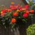 Barbara Barnes's profile image