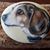 Linda S. Pickel's profile image