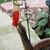 Sandi Hansche's profile image