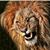 Ish Desai's profile image