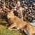 Jennifer Lynn Wood's profile image