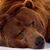 Elliott Trout's profile image