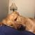 Karen Chagnon's profile image