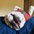 Ashley Pan's profile image