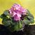 Letitia Moffett's profile image
