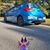 David T Wolf Stathos's profile image