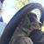 Janine Bradley's profile image