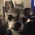 Candice Marie's profile image