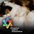 Kathie A. Matthews's profile image