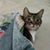 Susan Gall-Doran's profile image