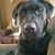 Phillip T Walcutt's profile image