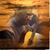 Tony Blount's profile image