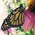 Shawn M Grose's profile image