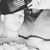 Jack King Waddell's profile image