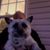 Marcy Fricon's profile image