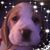Teresa C. NeSmith's profile image
