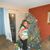 Yessenia Escoto's profile image