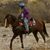 Debbie Jeffery's profile image