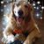 Mary Carmen Shannon's profile image