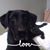 Susan Bledsoe's profile image