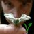 Drea Marek's profile image