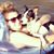 Lauren Younkin's profile image