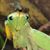 Craig Baker's profile image