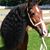 Dawn Reed's profile image