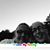 Lisa Griffin Heinrichs's profile image