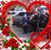 Oscar Saavedra's profile image