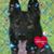 Barbara Landfried's profile image