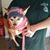 Rosa Castillo's profile image