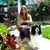 Nicolette Phillips's profile image