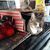 Marge Mlynarski's profile image