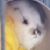 Jaden Fox's profile image