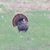 Rhonda Huser's profile image