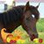 Michelle Richardson's profile image