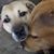 Amy Huskey-Bean's profile image