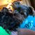 Emily Pousson's profile image