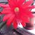 Anne White's profile image