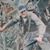 John Mancini's profile image