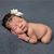 Denise Anderson's profile image