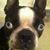 Vicki Herd's profile image