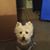 Terri Jones Kinzey's profile image