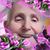 Sharon M Bryce's profile image