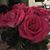 Fran DeTore's profile image