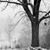 Brenda Taylor's profile image
